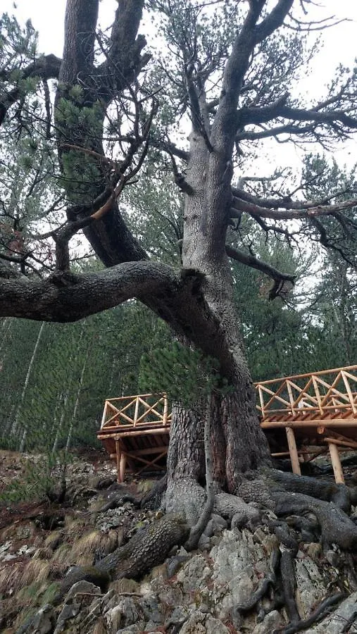 500М. От Лифта Сладък Дом В Белведере Спа Комплекс Bansko 0*,  Bulgária